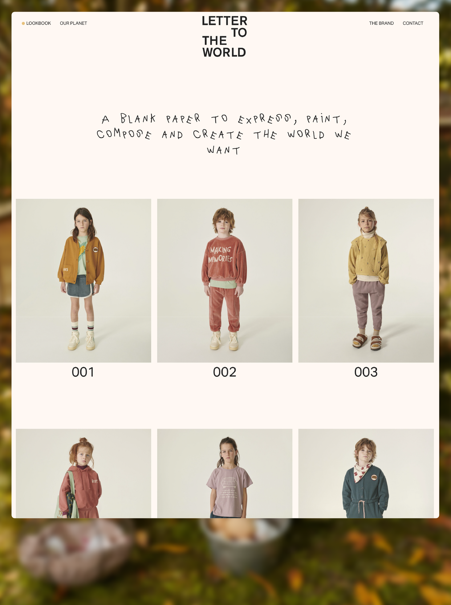 Desarrollo web Lookbook